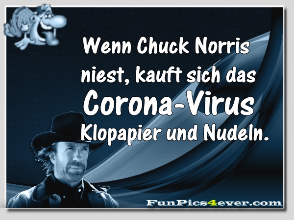 Chuck Norris niest