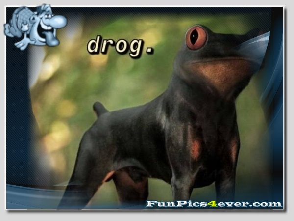 drog