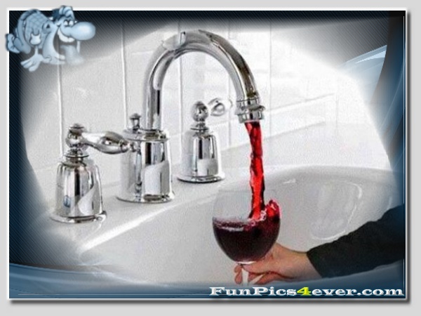 Wasser oder Rotwein