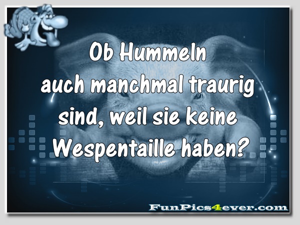 Hummeln mit Wespentaille