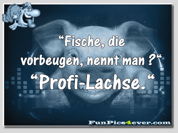 Profi-Lachse