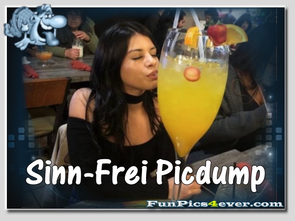 Sinn-Frei Picdump