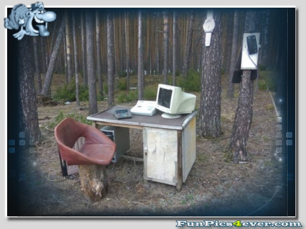 Wald-Office