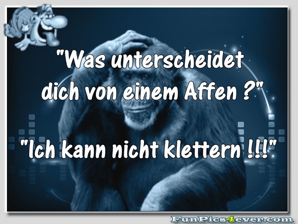 Affen