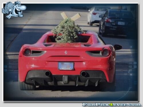 Ferrari Christbaum