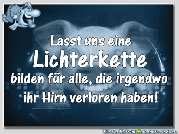 Hirn verloren