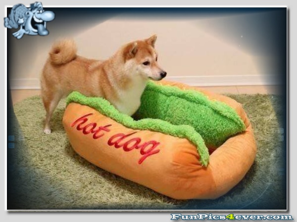 Hot Dog