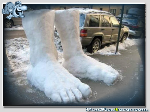 Schneeschuhe