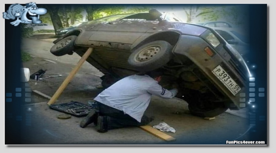 test Funpics4ever lustige Bilder, Funpics und Picdumps
