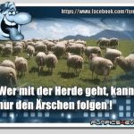 Der Herde folgen